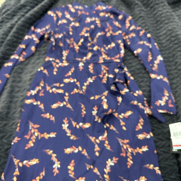 Size 3 new silk  dress with ticket.  Never been worn. - Picture 3 of 7